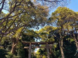 torii cancello in piedi a il Ingresso per meiji jingu santuario iat harajuku urbano foresta, tokyo. foto