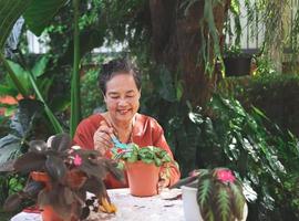 contento e salutare asiatico anziano donna seduta a bianca tavolo all'aperto nel bellissimo giardino , sorridente felicemente e assunzione cura di impianti. foto