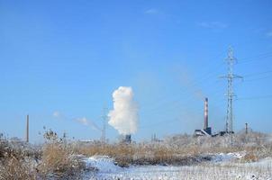 il industriale pianta è collocato dietro a il paludoso terreno, coperto con neve. grande campo di giallo giunchi foto