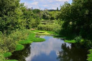 estate giorno paesaggio con un' grande palude tratteggiata con verde lemna e palude vegetazione foto