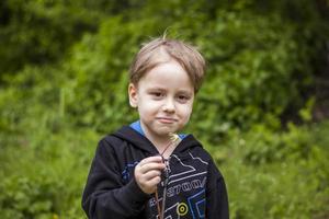 un' contento ragazzo su un' primavera giorno nel il giardino colpi su bianca denti di leone, lanugine mosche via lui. il concetto di all'aperto ricreazione nel infanzia. ritratto di un' carino ragazzo. foto