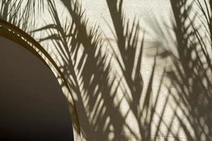 ombre di palma le foglie su il arcuato vuoto parete foto