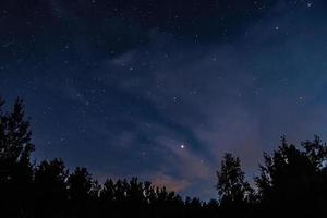 notte stellato cielo al di sopra di foresta. albero sagome contro fondale di stelle. foto