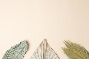 tropicale sfondo con palma foglia su pastello beige. piatto posizione, copia spazio foto