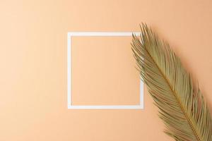 cosmetico sfondo con bianca telaio e palma foglia su pastello beige. piatto posizione, copia spazio foto
