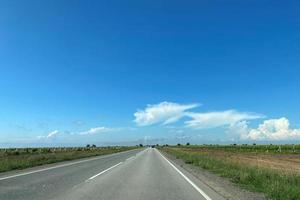 paesaggio con un' autostrada fra vigneti foto