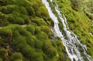 cascata in natura foto