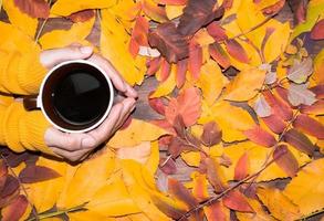 femmina mani Tenere un' tazza di caffè nel un' giallo maglione contro un' sfondo di luminosa colorato autunno le foglie. foto