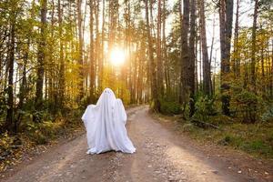 un' bambino nel lenzuola con ritagliare per occhi piace un' fantasma costume nel un autunno foresta spaventa e terrorizza. un' genere poco divertente fantasma. Halloween festa foto