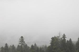 autunno e nebbia nel il montagne. verticale foto. foto sfondo con montagna Visualizza, spazio per testo