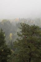 autunno e nebbia nel il montagne. verticale foto. foto sfondo con montagna Visualizza