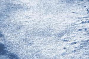 sfondo. paesaggio invernale. la consistenza della neve foto