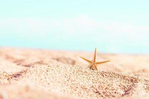 stella marina su sabbia estate spiaggia, dietro a il mare, soleggiato. relax, mare, viaggio. copia spazio foto