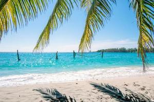 foglie di palma sullo sfondo della spiaggia del mare tropicale nel concetto di estate foto