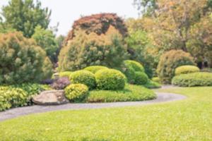 astratto sfocatura parco giardino per sfondo foto