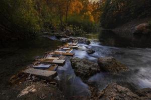 fiume lungo esposizione con circostante foresta e rocce foto