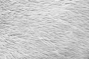 bianca soffice pelliccia tessuto lana struttura sfondo foto