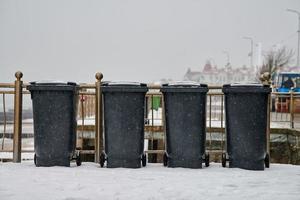 bidoni della spazzatura grigi, contenitori della spazzatura all'aperto in inverno foto