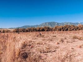 montagne nel il autunno foto