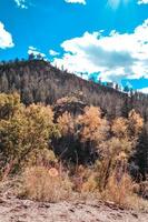 montagne nel il autunno foto