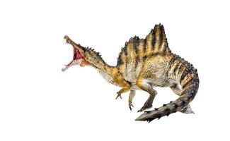 dinosauro , Spinosaurus isolato sfondo ritaglio sentiero foto