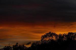 tramonto con rosso e blu drammatico cielo, silhouette contro il luce, ombra di alberi, sfondo, colorato, Messico, foto