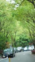 il bellissimo giardino Visualizza con il fresco verde le foglie e fiori nel estate foto