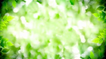 bellissima natura Visualizza di verde foglia su sfocato verdura sfondo nel giardino. naturale verde le foglie impianti Usato come primavera sfondo copertina pagina verdura ambiente ecologia lime verde sfondo foto