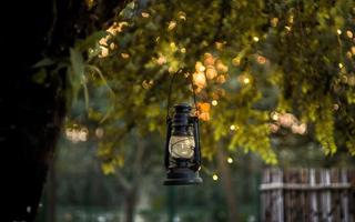 lampa naftowa olio lampada sospeso a partire dal un' albero foto