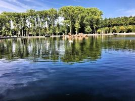 Parigi nel Francia. un' Visualizza di il palazzo e giardini di versaille nel Parigi foto