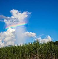 il bianca nuvole avere colorato arcobaleni nel il luminosa blu cielo nel il giorno. foto