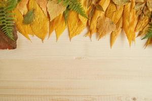 confine a partire dal autunno asciutto colorato le foglie su il di legno sfondo, superiore Visualizza. foto