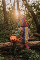 poco ragazza nel un' arcobaleno unicorno Halloween costume con un' zucca cestino per dolci è seduta su un' ceppo a un' foresta tramonto. un' favoloso meraviglioso magico foresta. spazio per testo. alto qualità foto