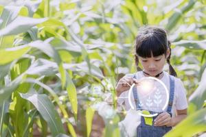 il poco ragazza usi un' tavoletta per analizzare il crescita di impianti nel il agricolo tracciare e visivo icona., il agricolo tecnologia concetto. inteligente agricoltura apprendimento concetto foto