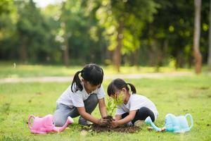 asiatico fratello piantare giovane albero su nero suolo insieme come Salva mondo nel giardino su estate giorno. piantare albero. infanzia e all'aperto tempo libero concetto. foto