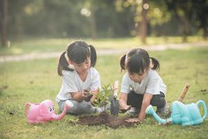 asiatico fratello piantare giovane albero su nero suolo insieme come Salva mondo nel giardino su estate giorno. piantare albero. infanzia e all'aperto tempo libero concetto. foto