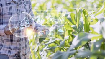 agricoltura tecnologia contadino uomo utilizzando tavoletta computer analisi dati e visivo icona. foto