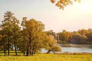 alberi di autunno foresta siamo riflessa nel acqua di lago. autunno natura lago foto