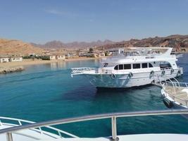 porto con yachts nel il porta di il egiziano città di sharm EL sceicco foto