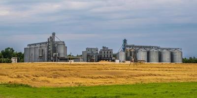 agro silos granaio ascensore con semi pulizia linea su agro-trasformazione produzione pianta per in lavorazione essiccazione pulizia e Conservazione di agricolo prodotti nel segale Mais o Grano campo foto