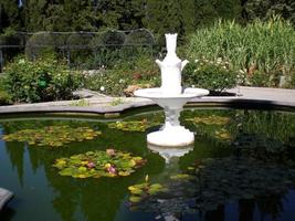 Fontana nel il nikitsky botanico giardino, Crimea foto