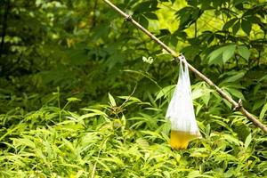 spazzatura sporco plastica veleno rifiuti e inquinamento su spiaggia Tailandia. foto