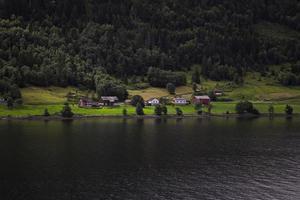 piccolo villaggio e verdeggiante verde pendio su il riva di fiordo nord. alto qualità foto