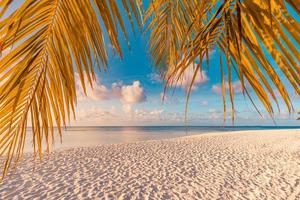 rilassante tropicale paesaggio marino con largo orizzonte di il sabbia cielo mare. colorato crepuscolo crepuscolo tramonto Alba acqua paesaggio marino con palma albero le foglie astratto sfondo Visualizza. estate viaggio vacanza natura