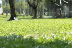 verde prato sfondo nel il parco foto