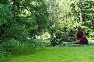 parcheggiare sull'isola di mainau foto