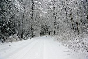 paesaggio innevato in germania foto