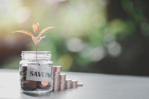 un' albero cresce nel un' bicchiere vaso pieno con monete.,finanziario crescita e investimento idee sostenibile reddito e profitto pianificazione la pensione preparazione futuro fondo gestione foto