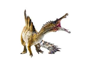 dinosauro , Spinosaurus isolato sfondo ritaglio sentiero foto