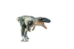 dinosauro , Giganotosaurus su isolato sfondo ritaglio sentiero foto